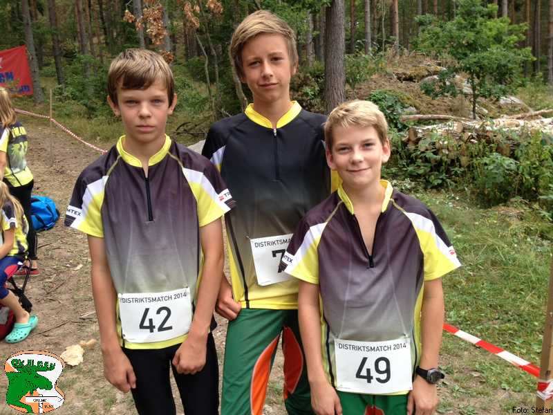 Älgens deltagare i distriktsmatchen 2014.