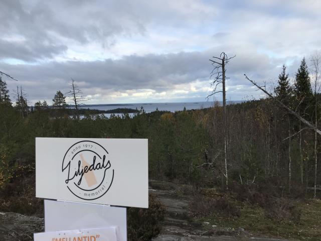 Utsikt från toppen